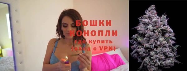 прущие крисы Беломорск