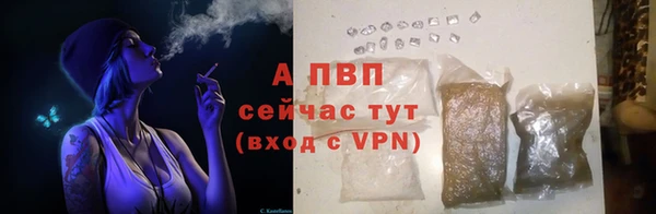 прущие крисы Беломорск