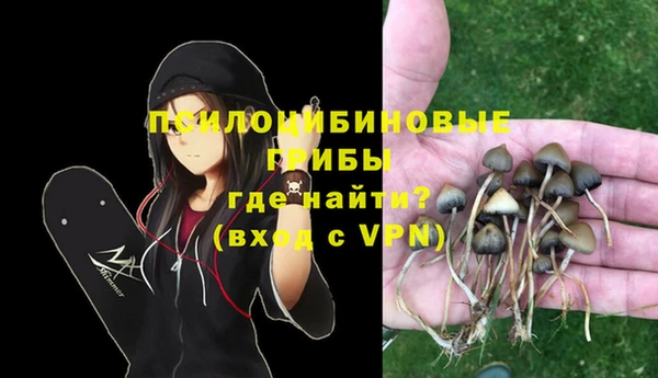 каннабис Белокуриха
